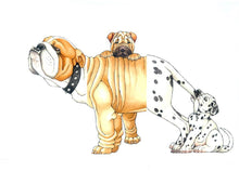 Load image into Gallery viewer, W. W. Norton - Mix-a-Mutt: Make Your Own Wacky Canine!