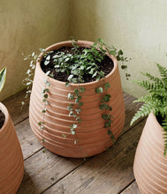 Load image into Gallery viewer, Bloomist - Ridge Terracotta Planter, Whitewash