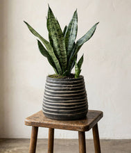 Load image into Gallery viewer, Bloomist - Ridge Terracotta Planter, Dark Charcoal Wash