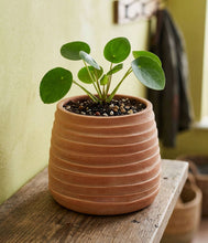 Load image into Gallery viewer, Bloomist - Ridge Terracotta Planter, Whitewash