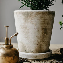 Load image into Gallery viewer, Bloomist - Basic Planter, White Patina