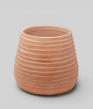 Load image into Gallery viewer, Bloomist - Ridge Terracotta Planter, Whitewash