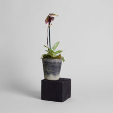 Load image into Gallery viewer, Bloomist - Hand-Thrown Terra Cotta Basic Planter, Grey Patina, 6 Sizes