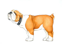 Load image into Gallery viewer, W. W. Norton - Mix-a-Mutt: Make Your Own Wacky Canine!