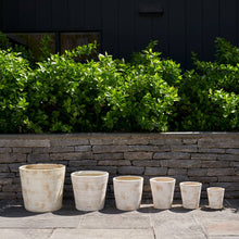 Load image into Gallery viewer, Bloomist - Basic Planter, White Patina