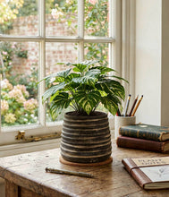 Load image into Gallery viewer, Bloomist - Ridge Terracotta Planter, Dark Charcoal Wash