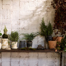 Load image into Gallery viewer, Bloomist - Hand-Thrown Terra Cotta Basic Planter, Grey Patina, 6 Sizes