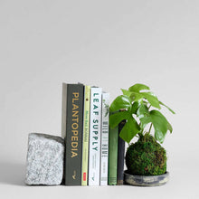 Load image into Gallery viewer, Bloomist - Granite Stand