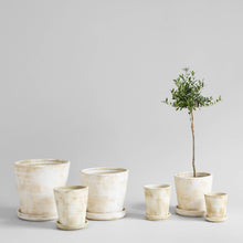 Load image into Gallery viewer, Bloomist - Basic Planter, White Patina