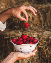 Load image into Gallery viewer, Farmhouse Pottery - Windrow Berry Bowl