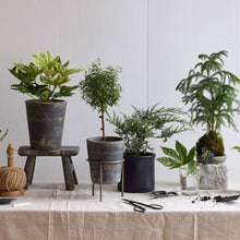 Load image into Gallery viewer, Bloomist - Hand-Thrown Terra Cotta Basic Planter, Grey Patina, 6 Sizes
