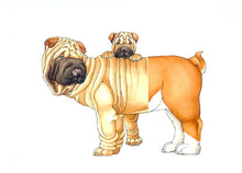 Load image into Gallery viewer, W. W. Norton - Mix-a-Mutt: Make Your Own Wacky Canine!