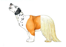 Load image into Gallery viewer, W. W. Norton - Mix-a-Mutt: Make Your Own Wacky Canine!