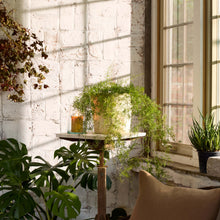 Load image into Gallery viewer, Bloomist - Basic Planter, White Patina