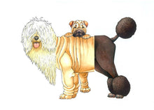 Load image into Gallery viewer, W. W. Norton - Mix-a-Mutt: Make Your Own Wacky Canine!