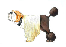 Load image into Gallery viewer, W. W. Norton - Mix-a-Mutt: Make Your Own Wacky Canine!