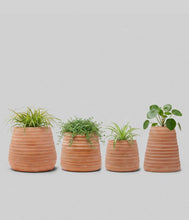 Load image into Gallery viewer, Bloomist - Ridge Terracotta Planter, Whitewash