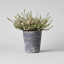 Load image into Gallery viewer, Bloomist - Hand-Thrown Terra Cotta Basic Planter, Grey Patina, 6 Sizes