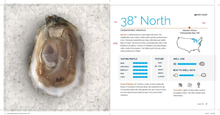 Load image into Gallery viewer, W. W. Norton - Appreciating Oysters