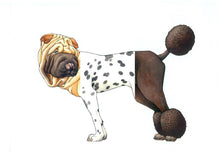 Load image into Gallery viewer, W. W. Norton - Mix-a-Mutt: Make Your Own Wacky Canine!