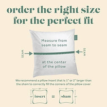 Load image into Gallery viewer, ComfyDown - ComfyDown Decorative Throw Pillow Insert, Down - Square