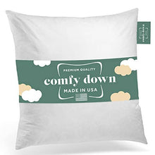 Load image into Gallery viewer, ComfyDown - ComfyDown Decorative Throw Pillow Insert, Down - Square