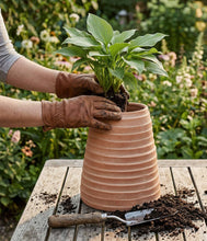 Load image into Gallery viewer, Bloomist - Ridge Terracotta Planter, Whitewash